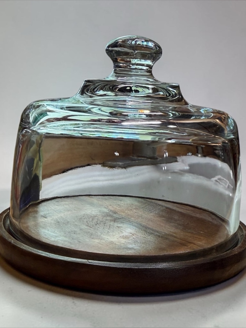 CURATED Glass Cloche with Wooden Base